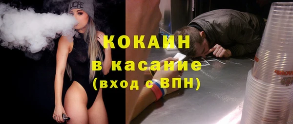 шишки Алзамай