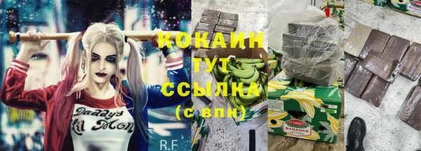 шишки Алзамай