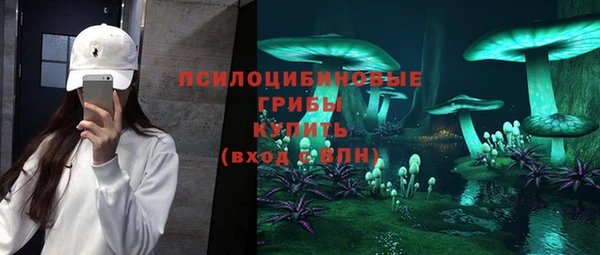 шишки Алзамай