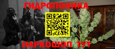 мяу мяу мука Кинель