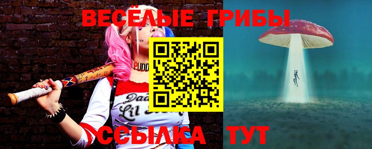 Галлюциногенные грибы Psilocybe  Вход с VPN  Котовск 