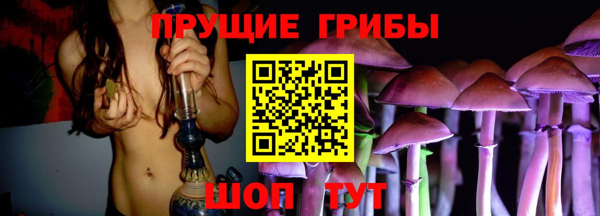 Псилоцибиновые грибы Psilocybine cubensis Котовск